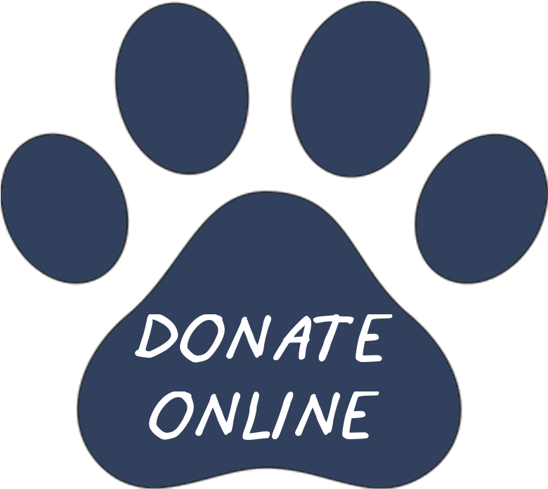 Golden Retriever (988x870)