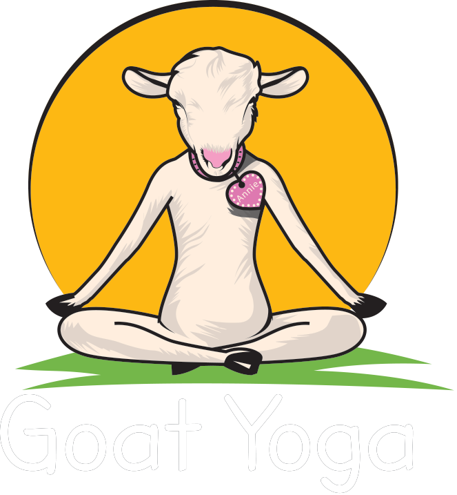 Goat Yoga Carlisle, Pennsylvania - Goat Yoga Logo (663x717)