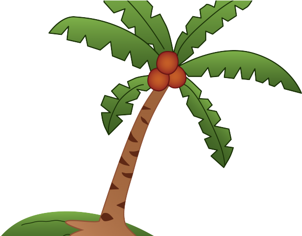 Drawn Palm Tree Children's - Kreslená Palma (640x480)