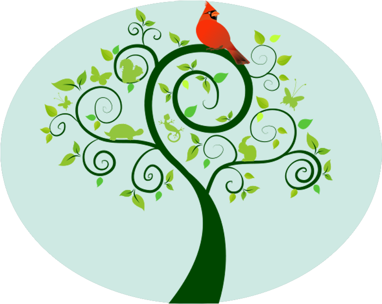 Nursery School - Carteles Del Medio Ambiente (800x639)