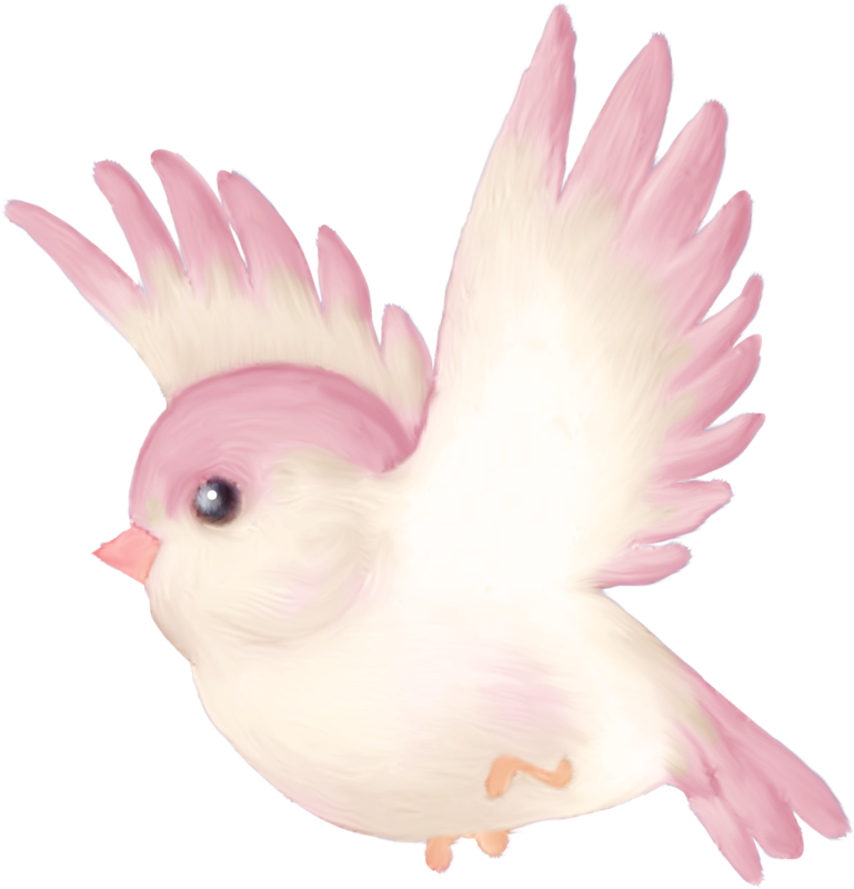 Oiseaux - Page - Cartoon Birds To Print (769x800)