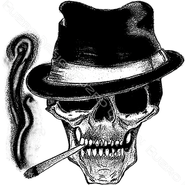 Skull Hat Logo T-shirt 35 Euros € - Skull (366x366)