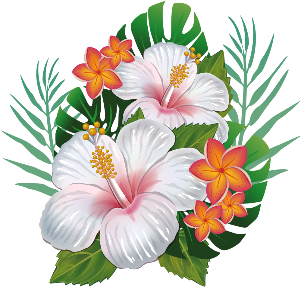 8 - Beautiful Flowers Clipart (1024x985)
