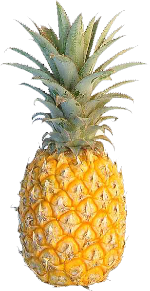 Pineapple Cuisine Of Hawaii Fruit Flavor Food - Yellow Pineapple (422x760)