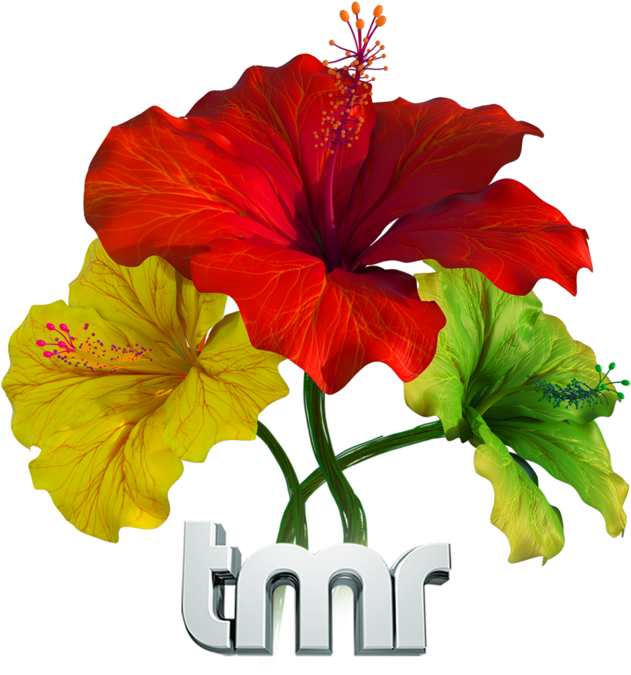 The Mayjah Rayjah Music Festival Hawaii - The Mayjah Rayjah Music Festival Hawaii (1000x964)