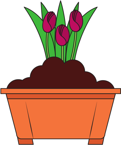 Beautiful Roses Cultivated In Pot - Beautiful Roses Cultivated In Pot (550x550)