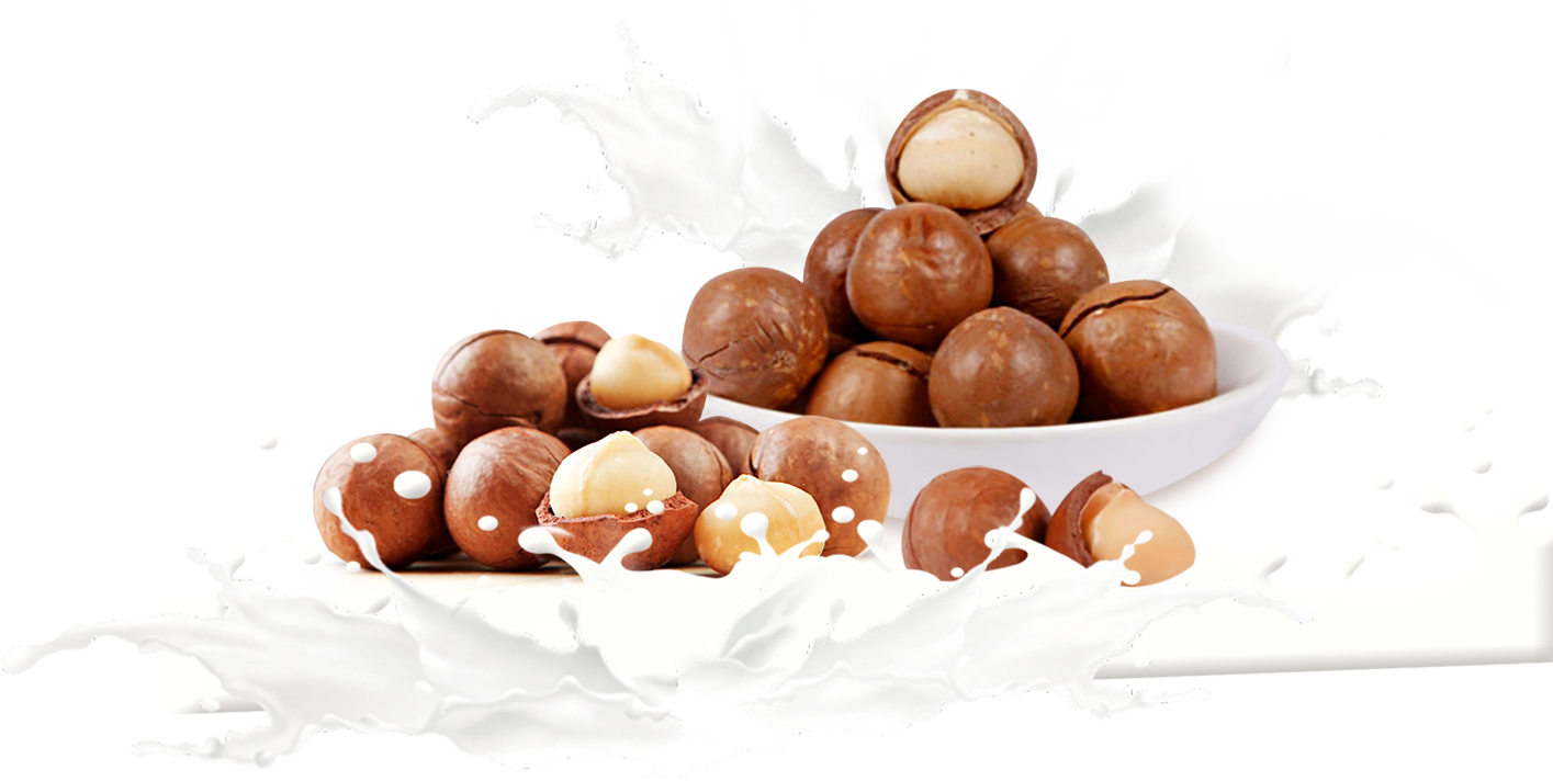 Macadamia Milk Mozartkugel Praline Chocolate Balls - Mozartkugel (1415x712)
