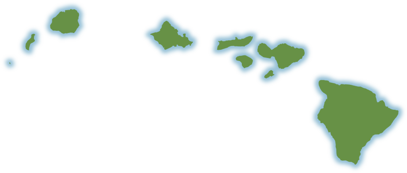 Hawaiian Islands - Hawaiian Islands Logo (828x353)