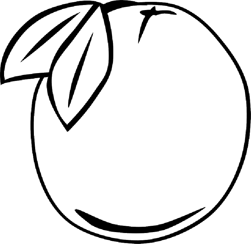 Simple Drawing Of Orange (800x778)