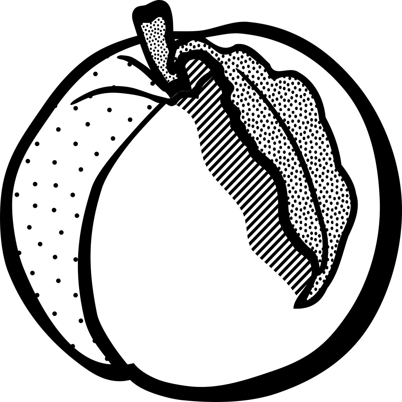 Essen Food Fruit Peach Png Image - Line Art (1280x1280)