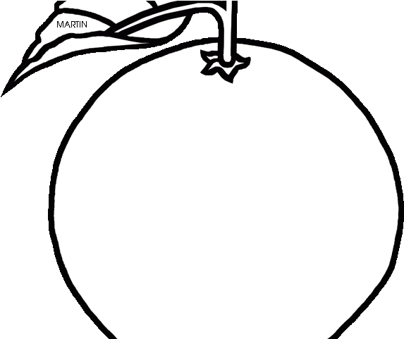 Orange Fruit Clipart Florida State - Line Art (640x480)
