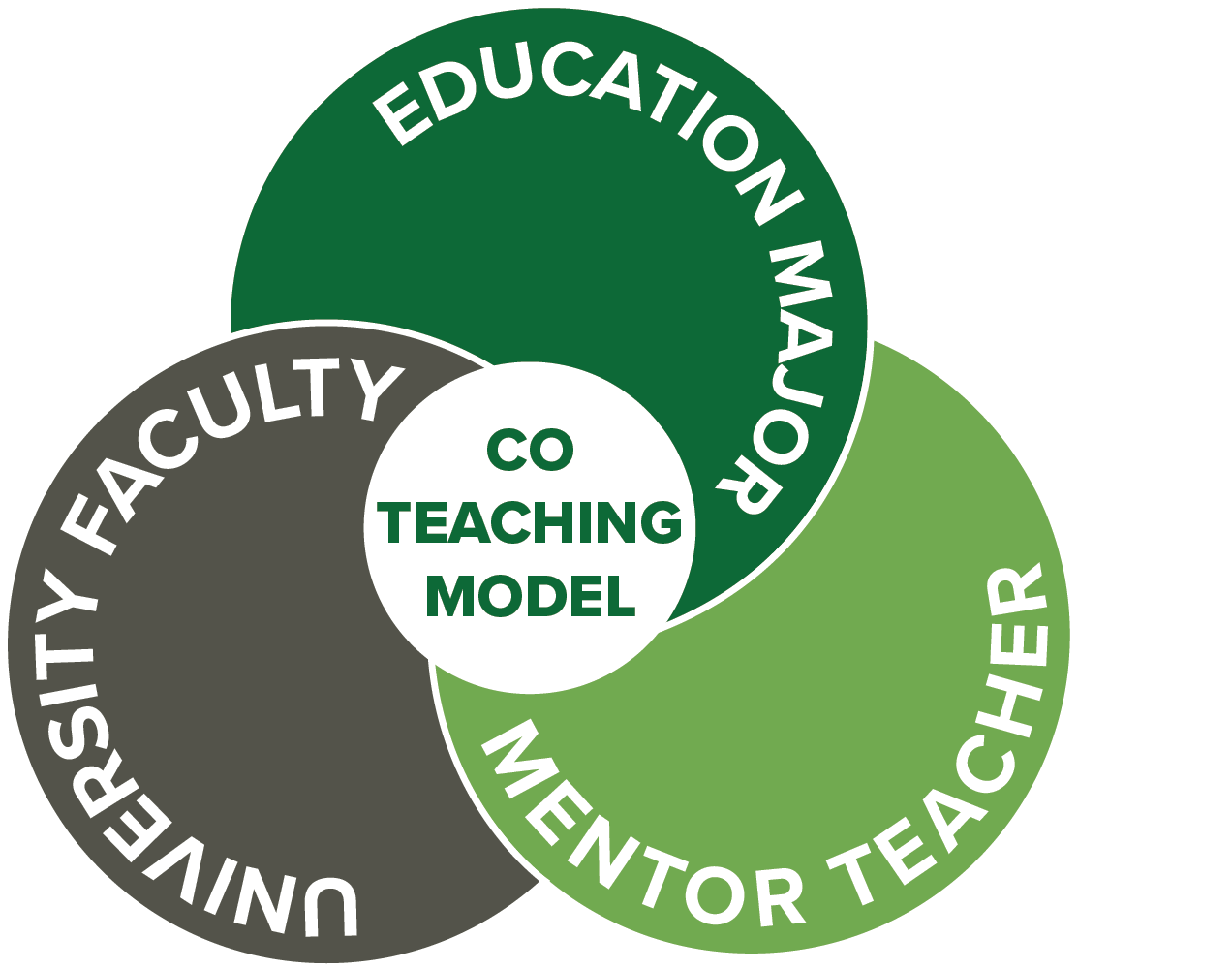 Co Teaching Infographic With Three Circles Representing - Teacher (1315x1056)