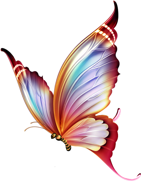 Les Beaux Dessins De Animaux Imprimer Et - Colour Pencil Drawings Of Butterfly (514x638)