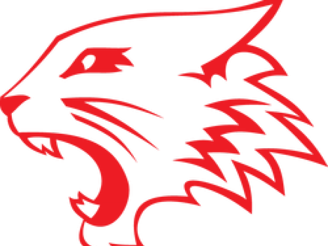 Wildcat Clipart High School Musical - High School Musical Wildcats Logo (640x480)