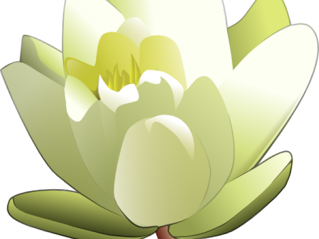 Water Lily Clipart Single - Cast Down But Not Destroyed (640x480)