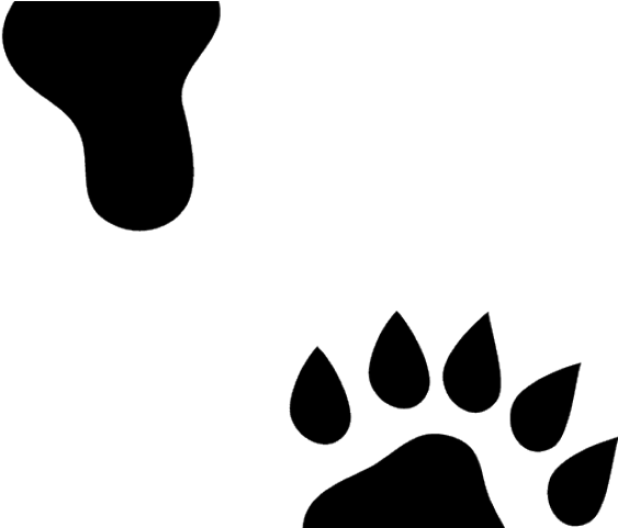 Otter Clipart Paws - Otter Clipart Paws (640x480)