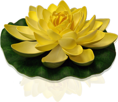Yellow Lotus Floating Flower - Skylantern Original Yellow Lotus Water Lantern (1000x666)