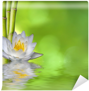 Nenufar Con Bambú Y Fondo Verde Con Reflejo Wall Mural - Estor Enrollable Digital Zen - Multicolor (400x400)