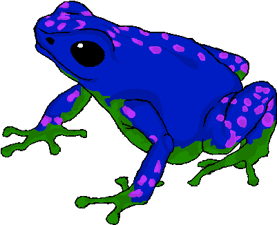 Poison Dart Frog By Toxic Sunrise - Poison Dart Frog Png (640x480)
