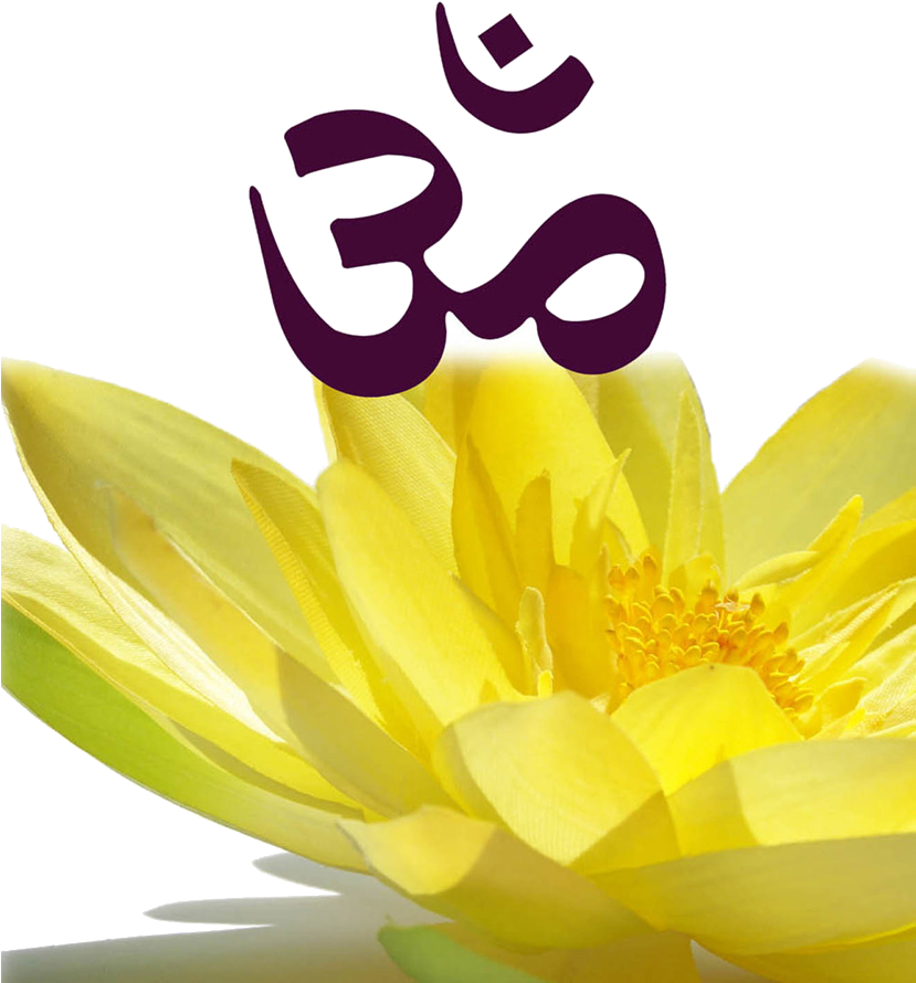 Yoga Être Est Membre Certifié De La Fédération Francophone - Yoga (828x912)
