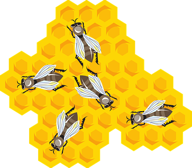 Bees Honeycomb Combs Honey Wax Beeswax Hiv - รังผึ้ง Png (388x340)