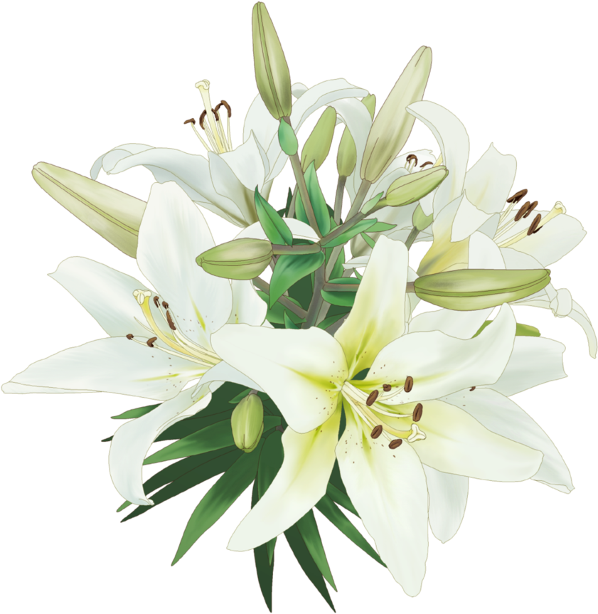 Random Png Deviantart (894x894)