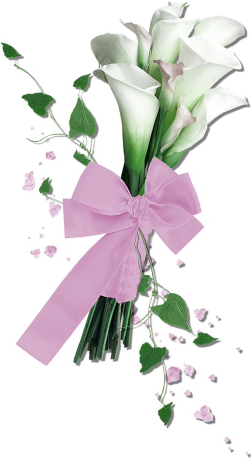 Arum-lily Floral Design Flower Clip Art - Calla Lily (731x1024)