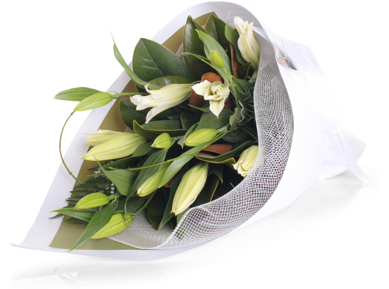 White Lily Flower Png Full Size Of Coloring Calla Lily - Lily (825x600)