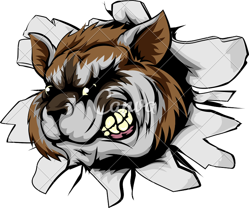 Raccoon Sports Mascot Breakthrough Illustration - Illustration (800x669)