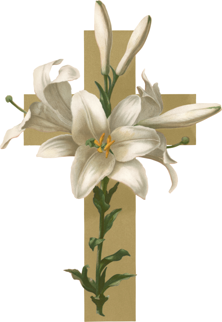 Easter Lily Christian Cross Flower Funeral Clip Art - Adaptability: Adapting Our Will To Gods Way (745x1080)