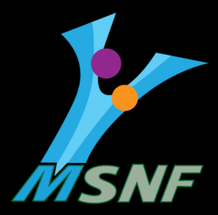 Montreal Special Needs Family Organization - Graphic Design (450x445)