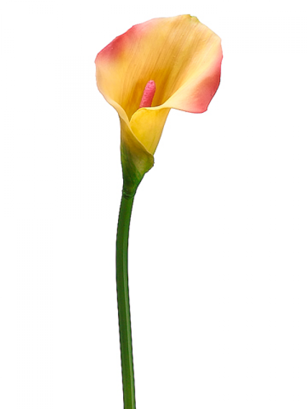 21" Pvc Calla Lily Stem Pink Yellow - Arum (800x800)