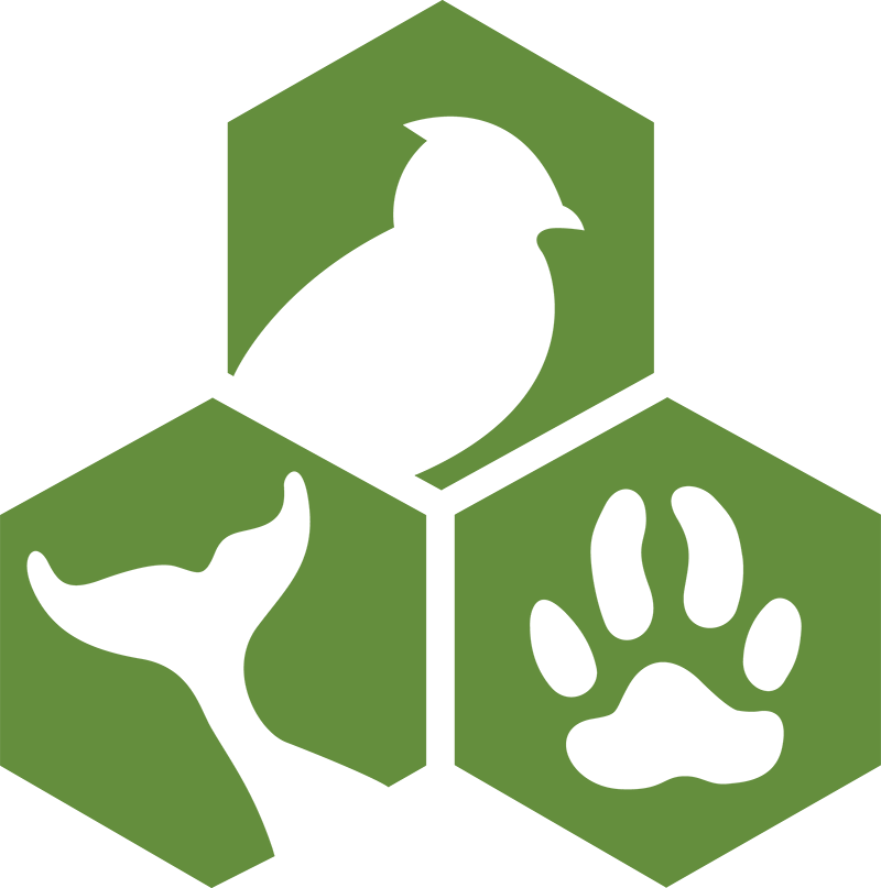 Animal Welfare Institute Dog Organization - Animal Welfare Institute Charity (800x807)