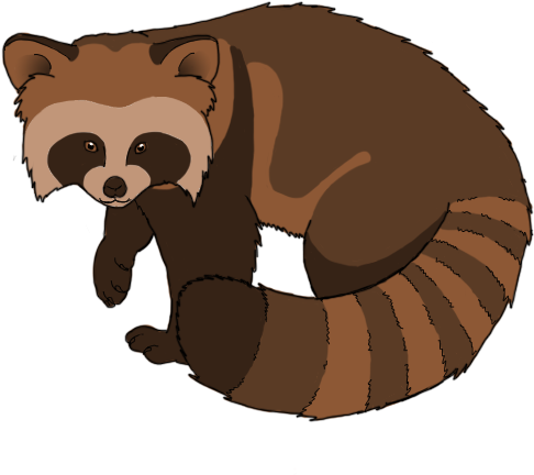 Raccoon Neutral - Portable Network Graphics (485x485)