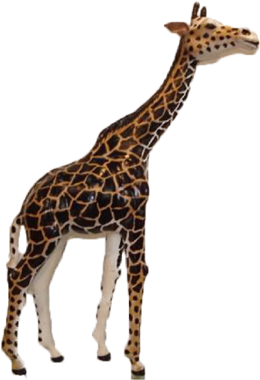 As Per Customer Specification - Giraffe (800x600)