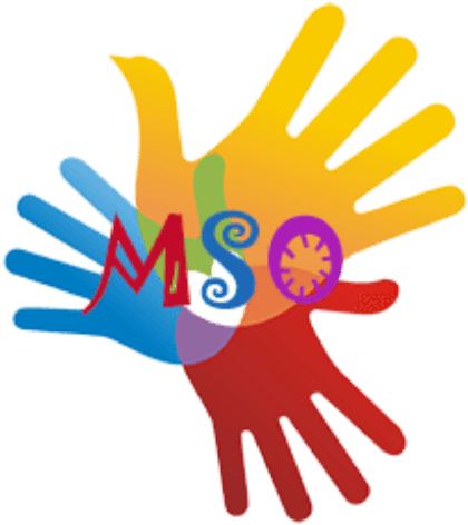 Montessori Scholarship Organization - Nonprofit Organization (512x512)