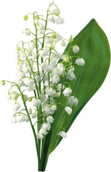 Multi Ani De 1 Martie (412x614)