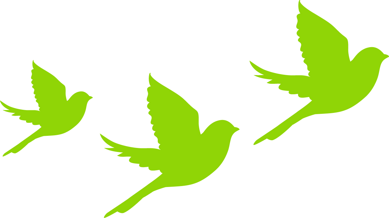 Sparrow Clubs Usa Bird School Organization Non-profit - Organization (1255x703)