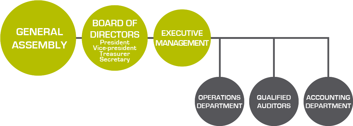 The Board Of Directors Manages The Association Based - Diagram (1200x429)