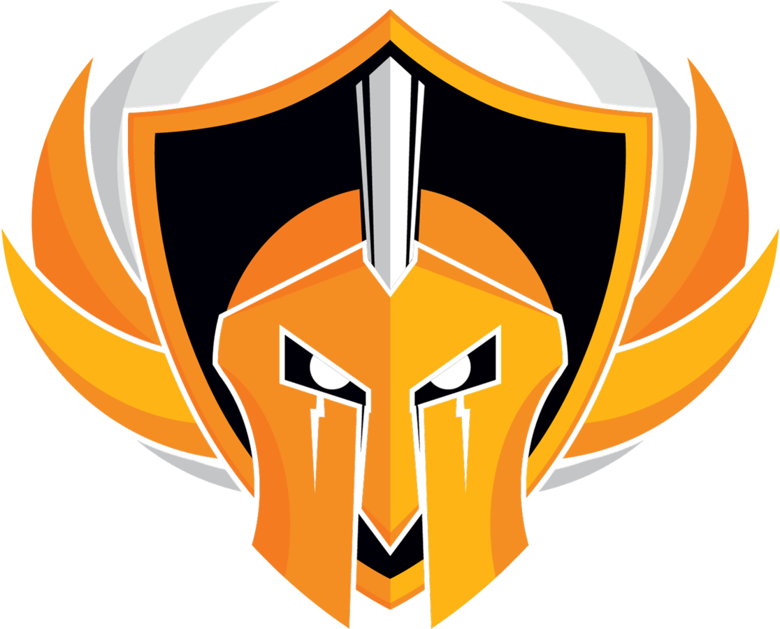 Professional Esports Organization - Illustration (1250x1250)