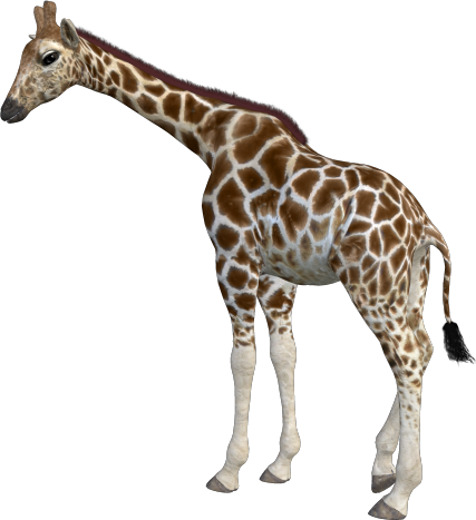 Back To Animal Index - Анимашки Жираф (427x467)