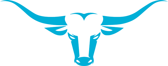 Web Filter Longhorn - Long Horn Clipart (650x257)