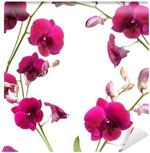 Beautiful Purple Orchid Flower Frame Isolated On White - Orchids (400x400)