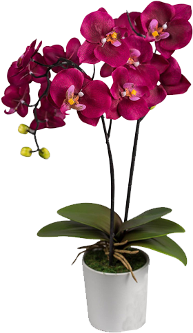 Artificial Silk Orchid Arrangement In Purple Wine Color - Moth Orchid (500x500)