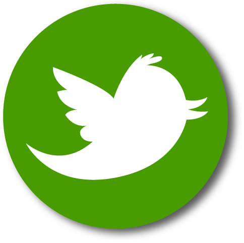 Green Home Icon Png - Twitter (500x500)