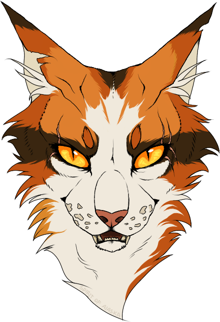Mapleshade By Spirit Of Alaska - Ombre D Érable Lgdc (447x653)