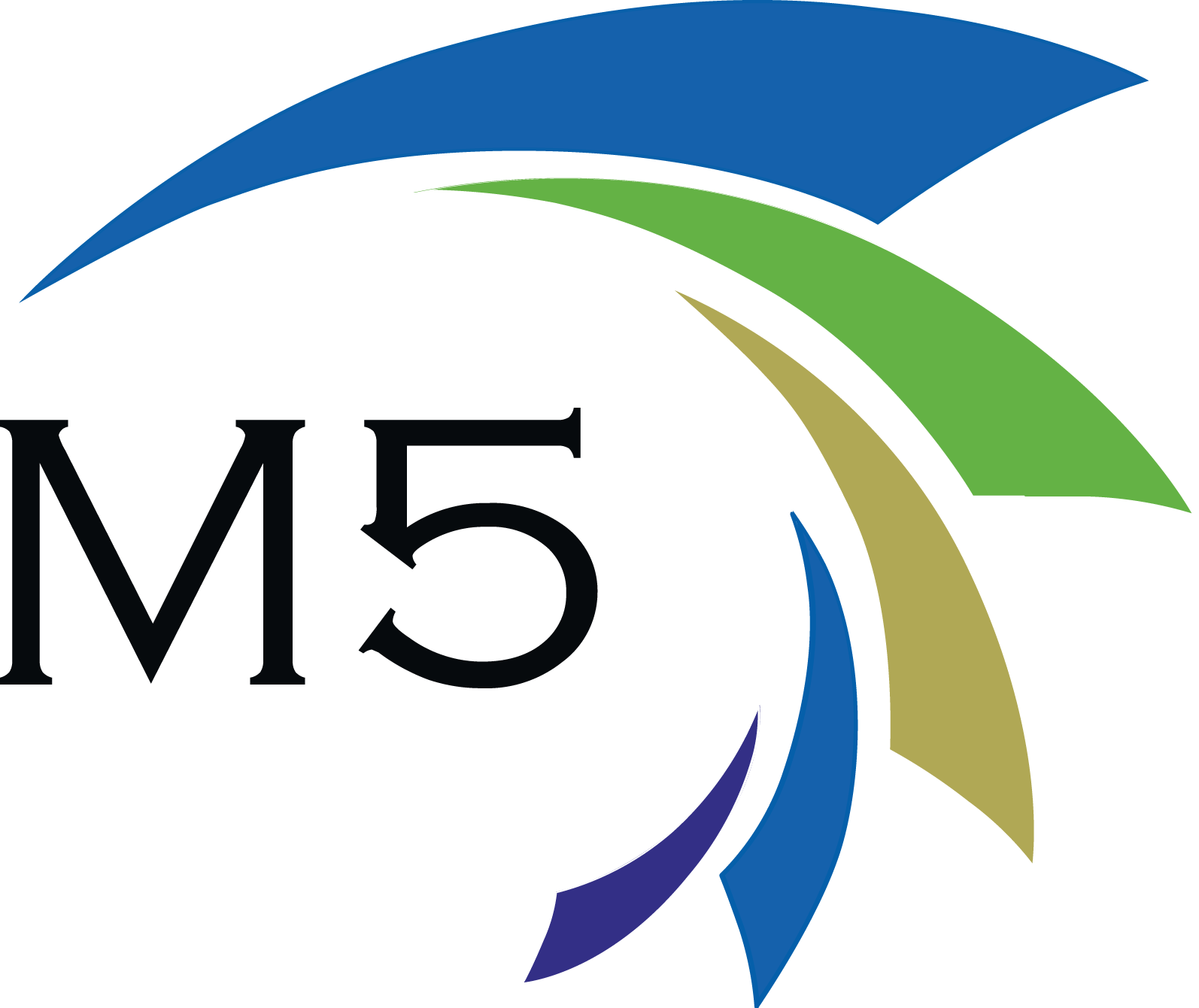 They Are A Group Of Five Technology Solution Partners - Maxxvault (1594x1340)