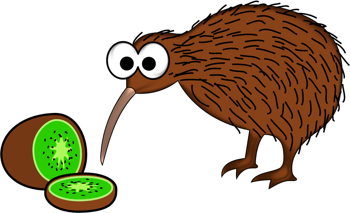 Bird Common Ostrich Clip Art - New Zealand Clipart (1600x900)