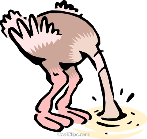 Cartoon Ostrich Royalty Free Vector Clip Art Illustration - Ostrich Head In Sand Animated Gif (480x452)