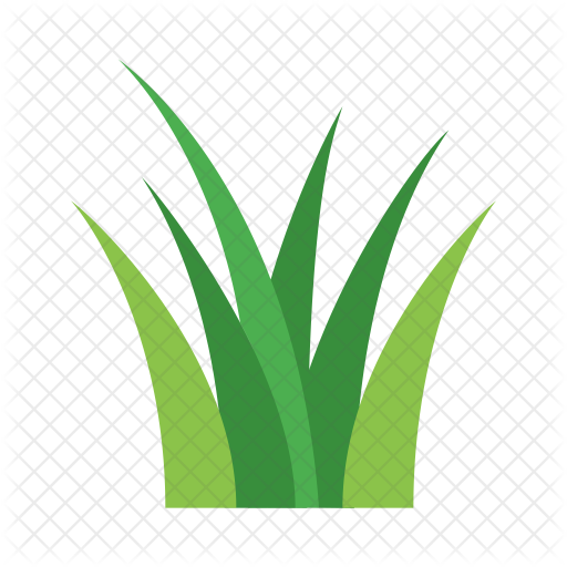 Garden, Gardening, Grass, Green, Nature, Weed, Weeds - Grass Icon Png (512x512)